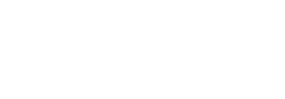 Expert Partners